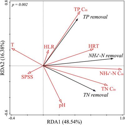 Vegetated Steel Slag Substrate Constructed Wetlands can Achieve High Efficiency Simultaneous Nitrogen and Phosphorus Removal